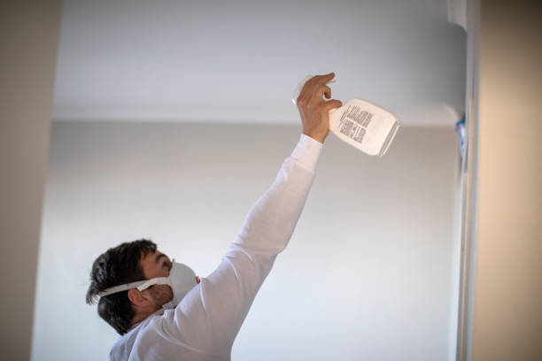 Best Crawl Space Mold Removal  in Deerwood, TX