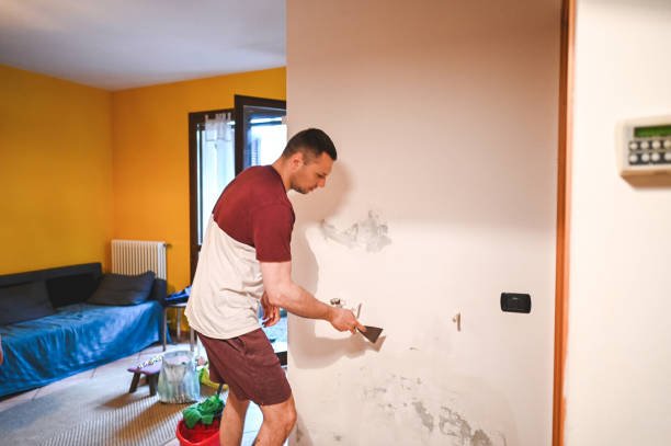 Best Mold Removal Near Me  in Deerwood, TX